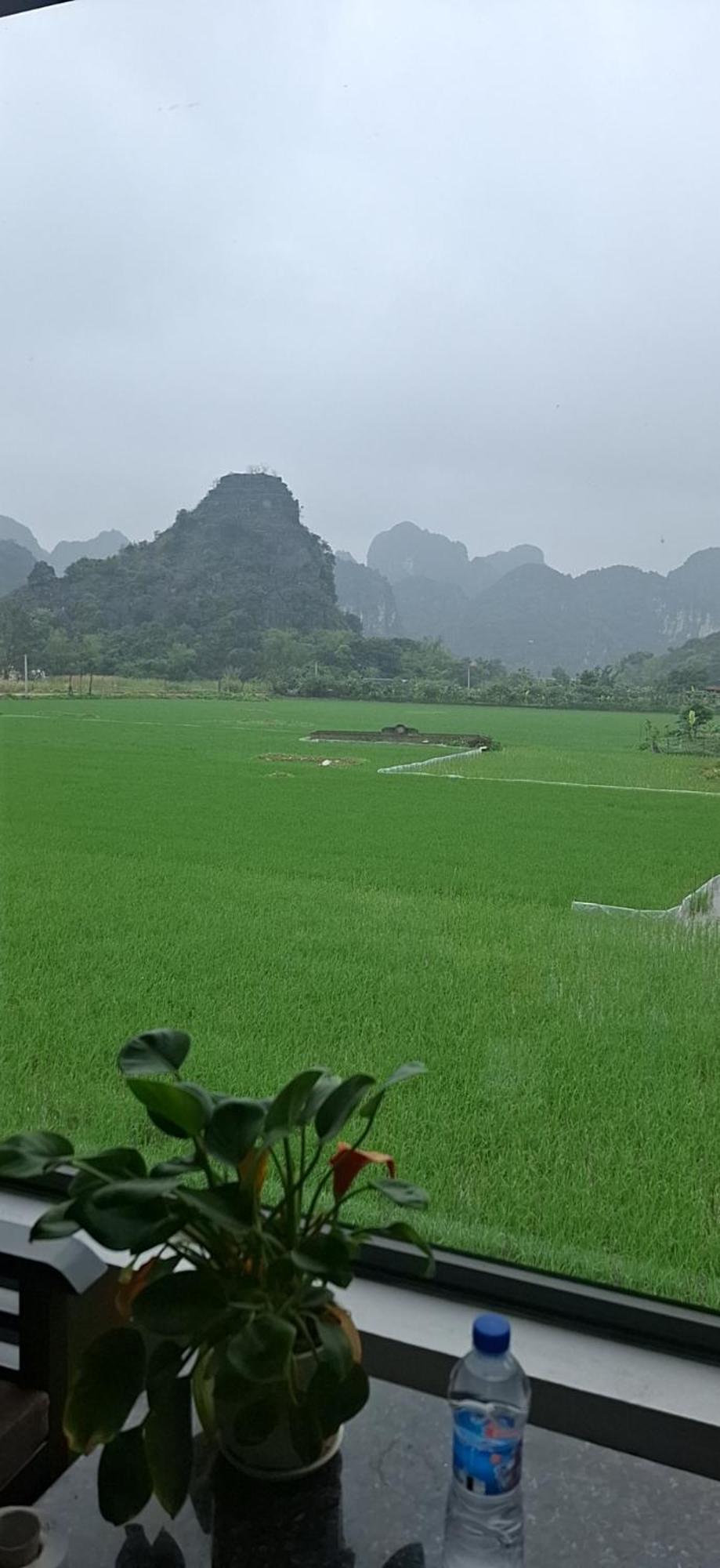 Trang An Rice Field Homestay Ninh Bình Kültér fotó